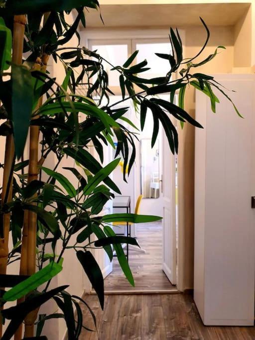 Charming House Apartment Rome